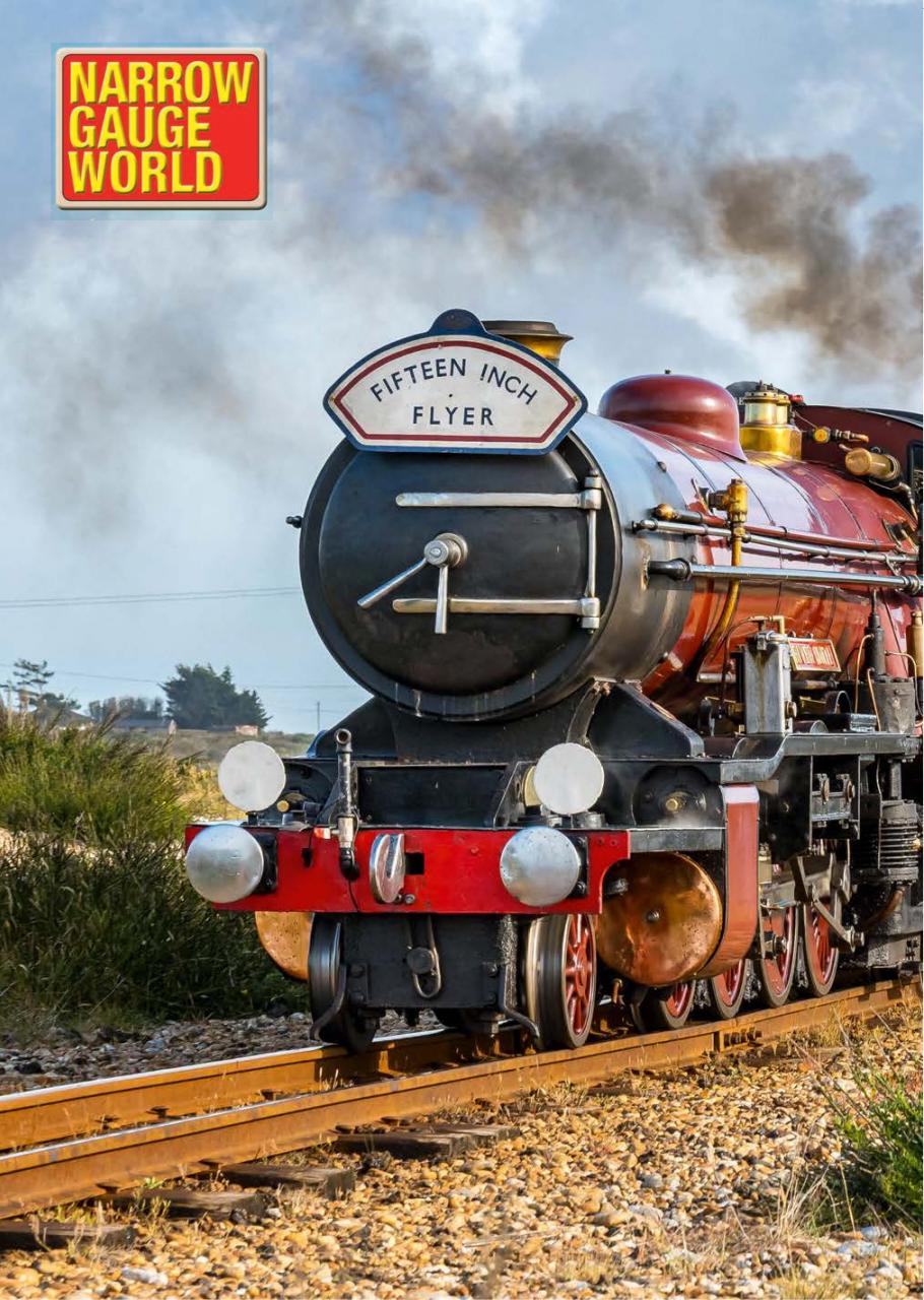 Narrow Gauge World Preview Pages