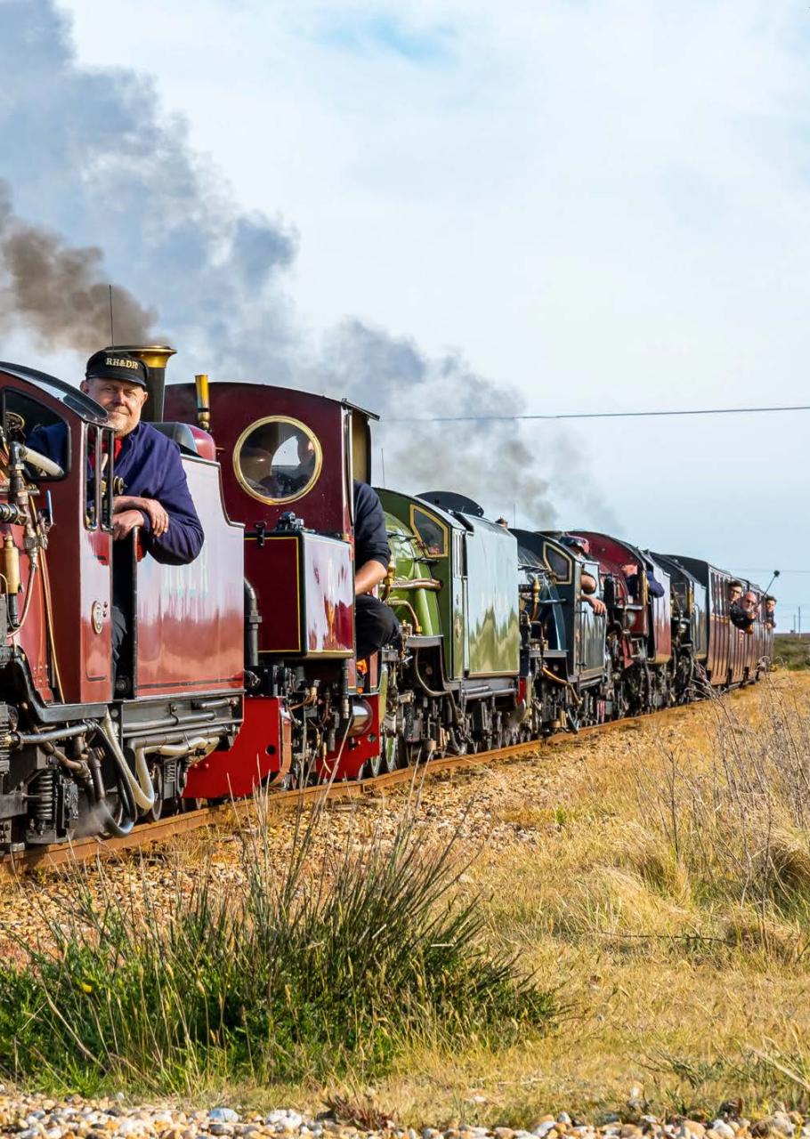 Narrow Gauge World Preview Pages