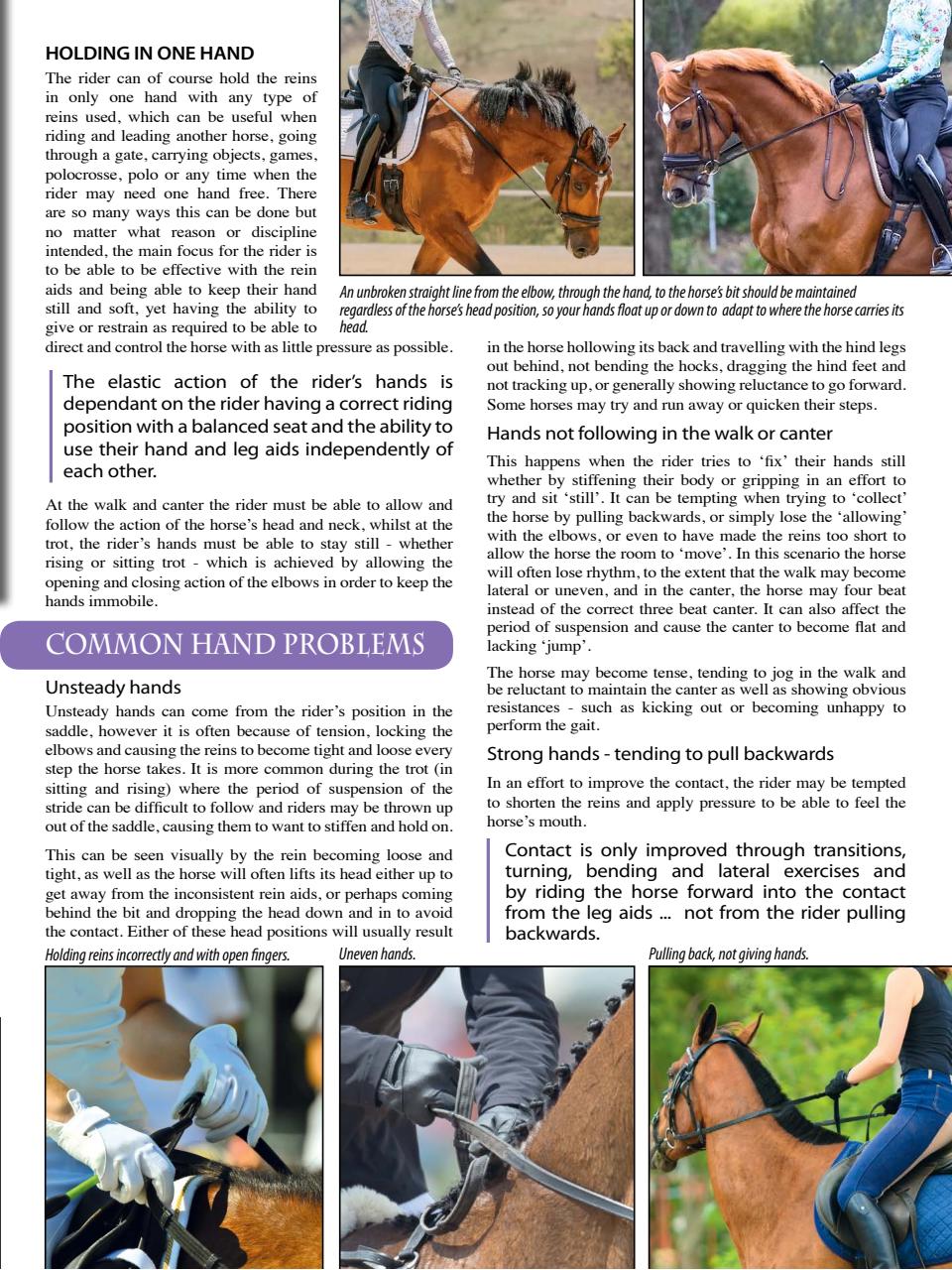 Hoofbeats Preview Pages