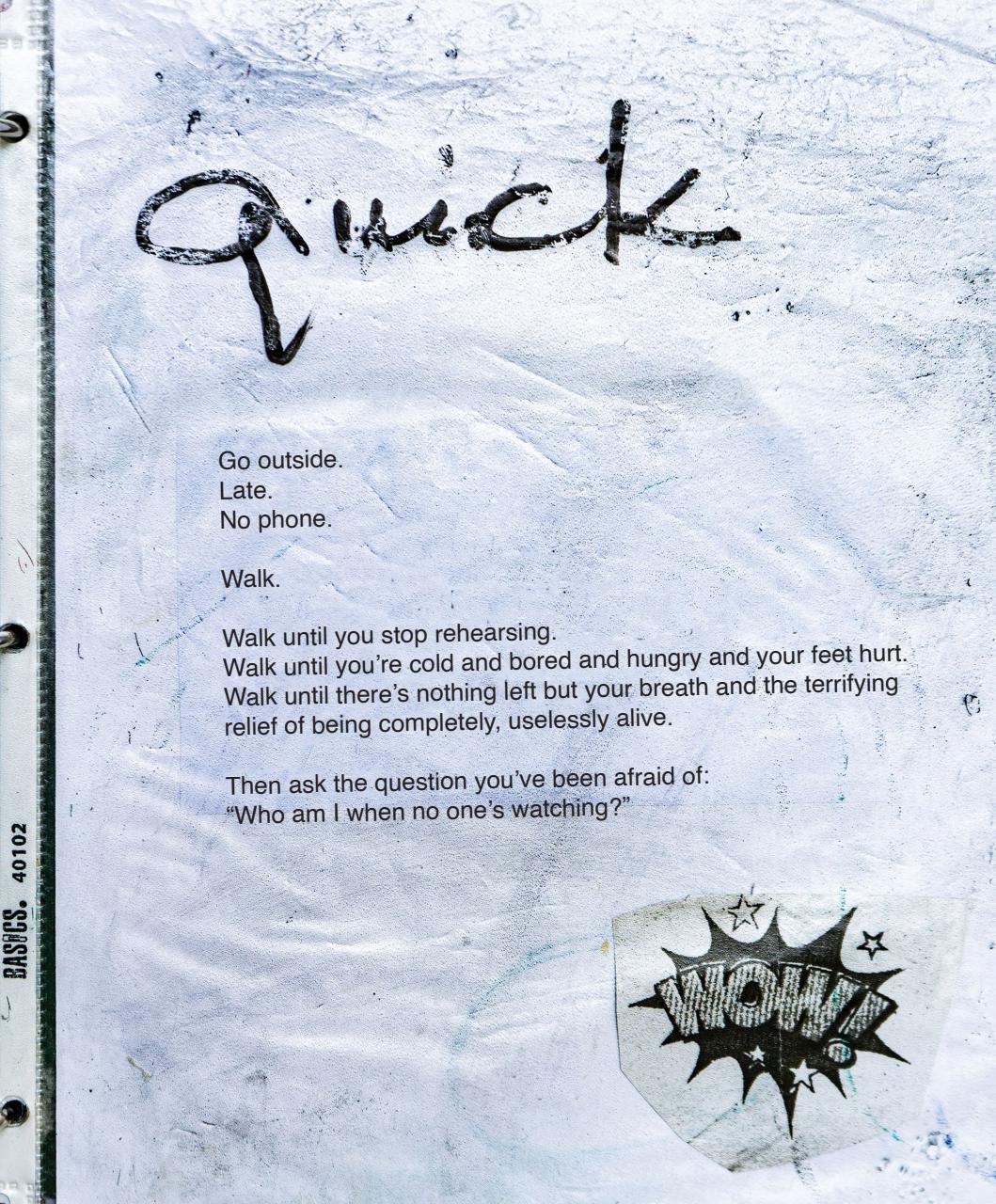 Adbusters Preview Pages