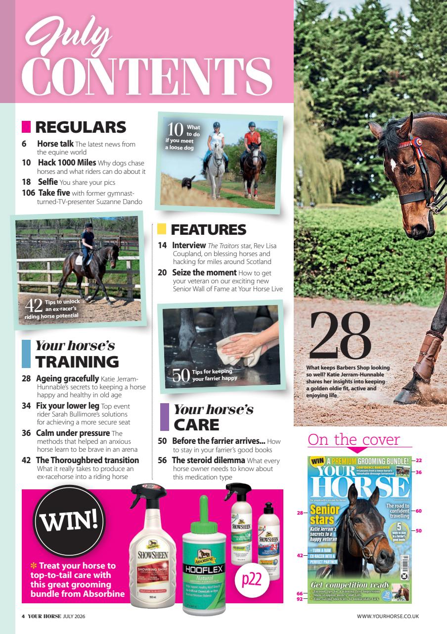 Your Horse Preview Pages