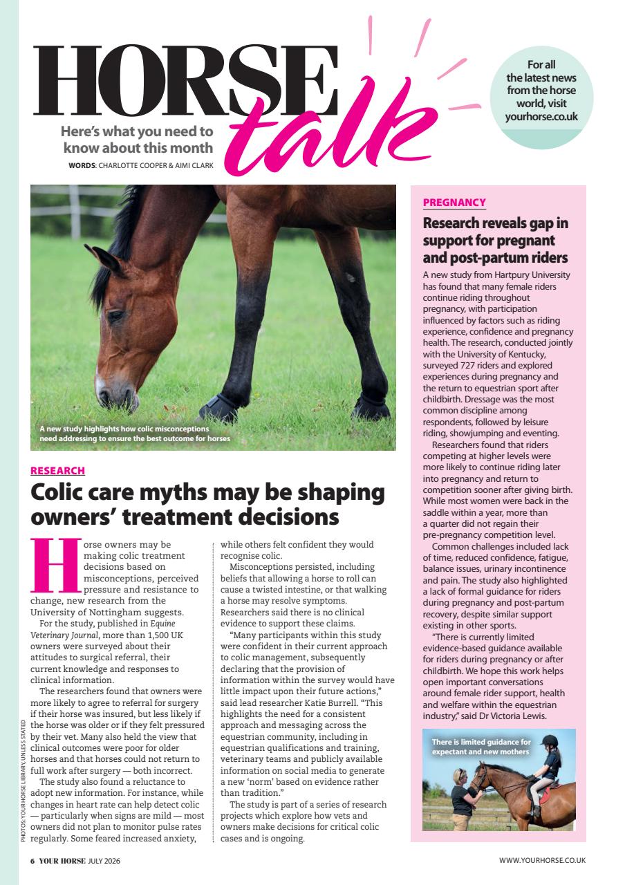 Your Horse Preview Pages