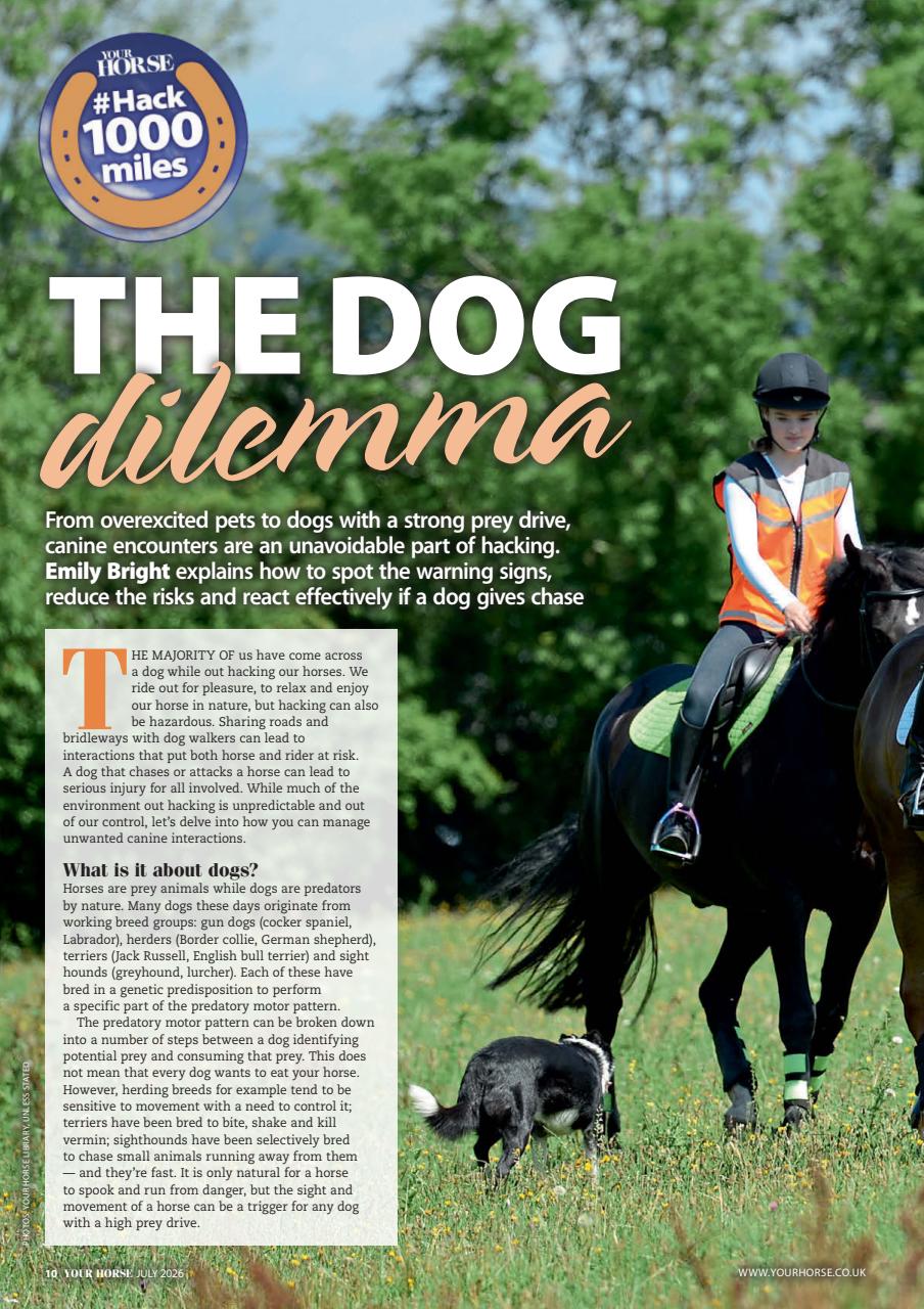 Your Horse Preview Pages