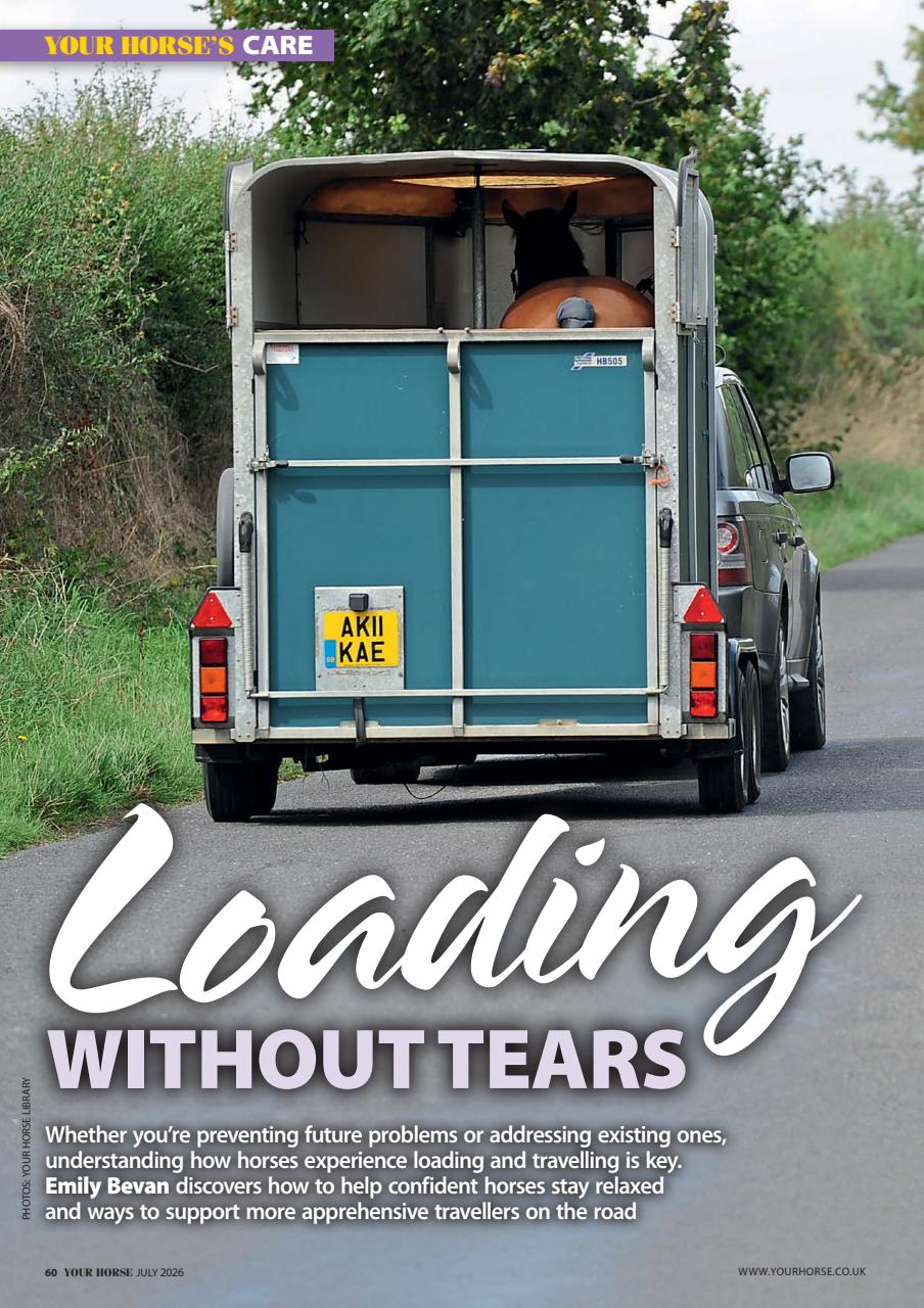 Your Horse Preview Pages