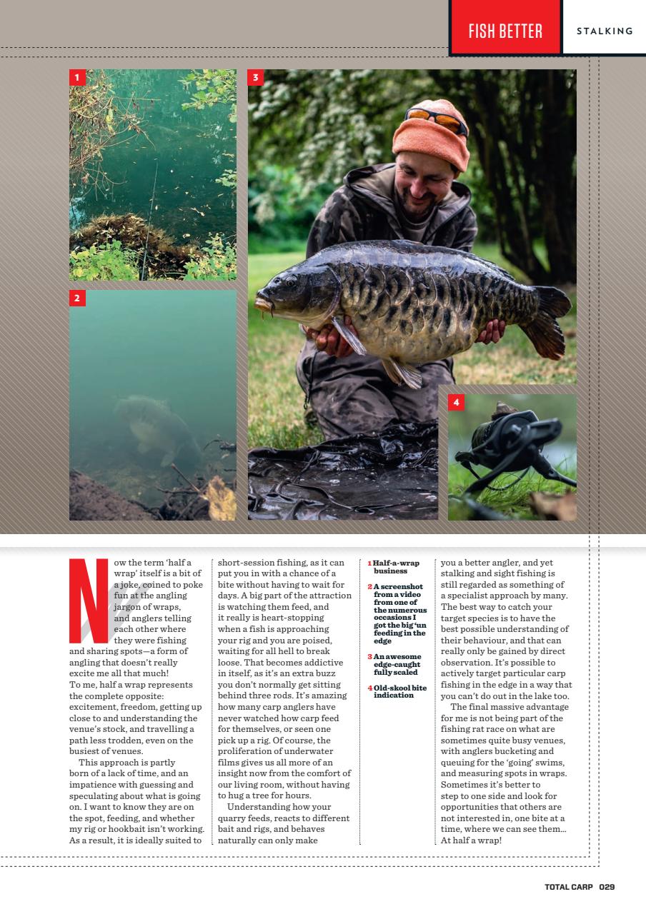 Total Carp Preview Pages