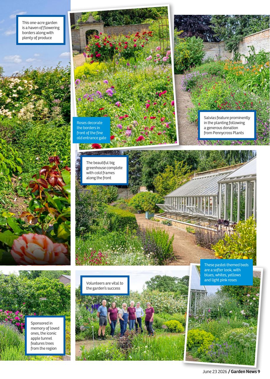 Garden News Preview Pages