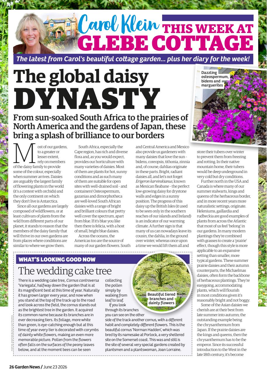 Garden News Preview Pages