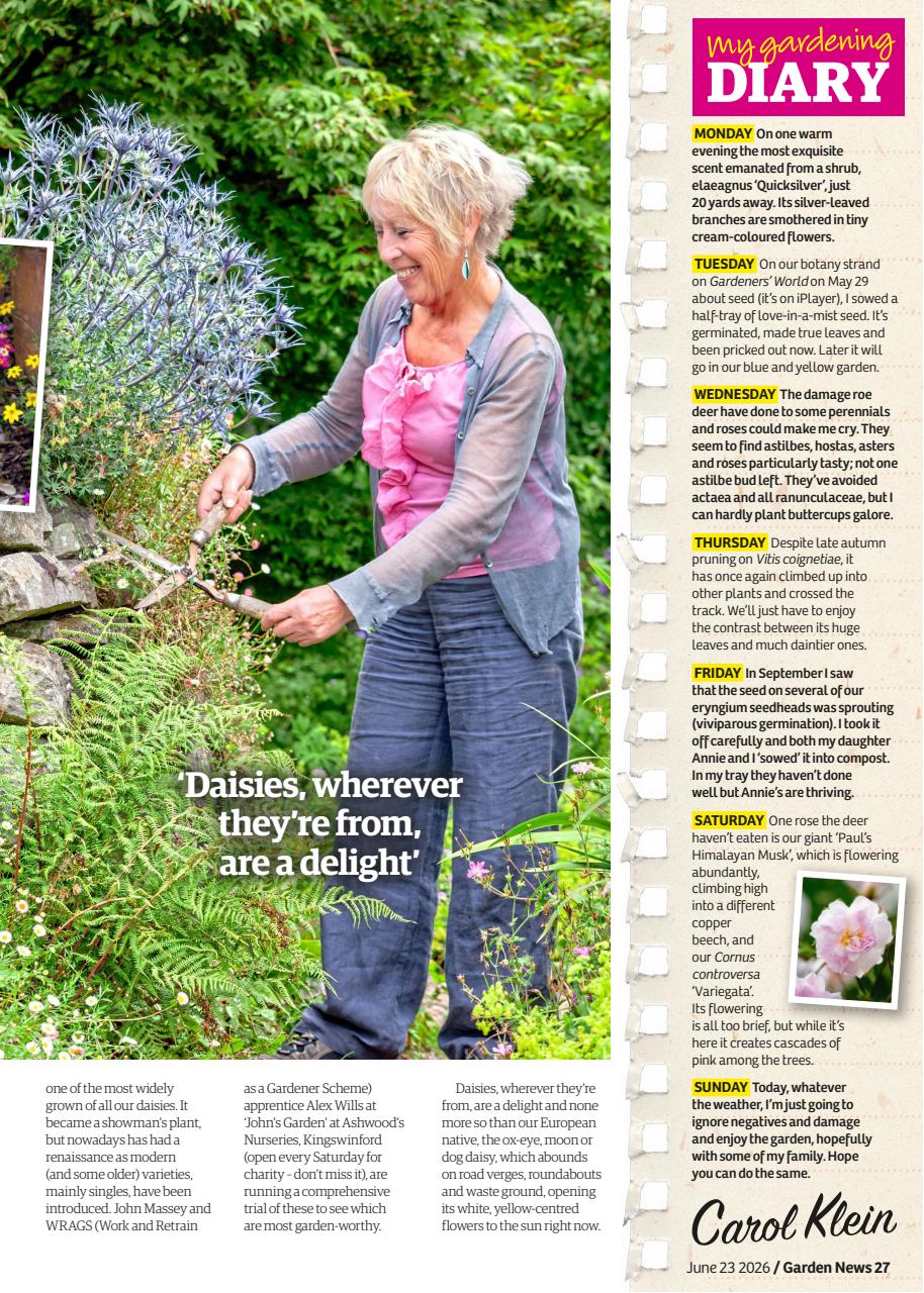 Garden News Preview Pages