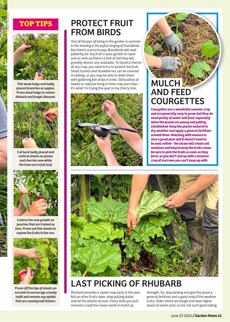 Garden News Preview Pages