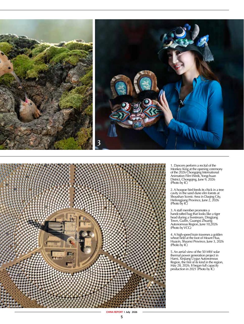 China Report Preview Pages