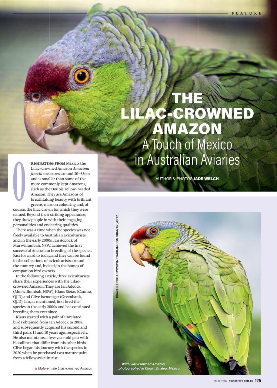 Australian Birdkeeper Magazine Preview Pages