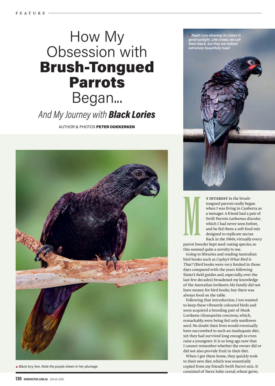 Australian Birdkeeper Magazine Preview Pages
