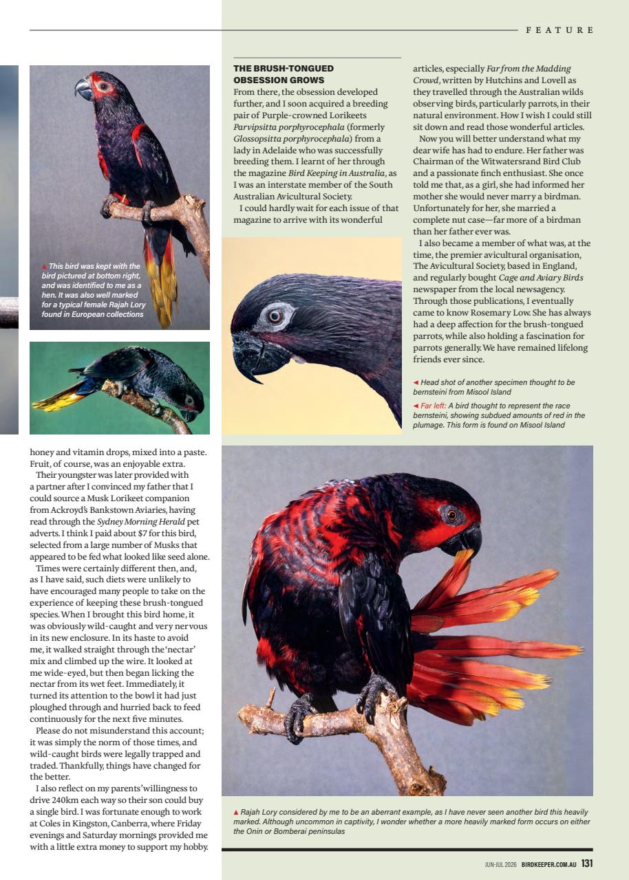 Australian Birdkeeper Magazine Preview Pages