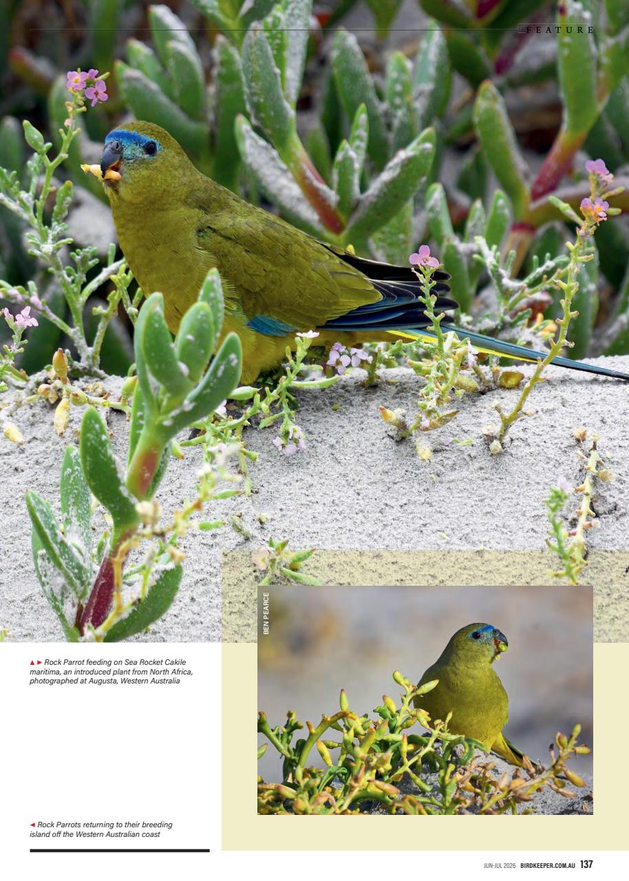 Australian Birdkeeper Magazine Preview Pages