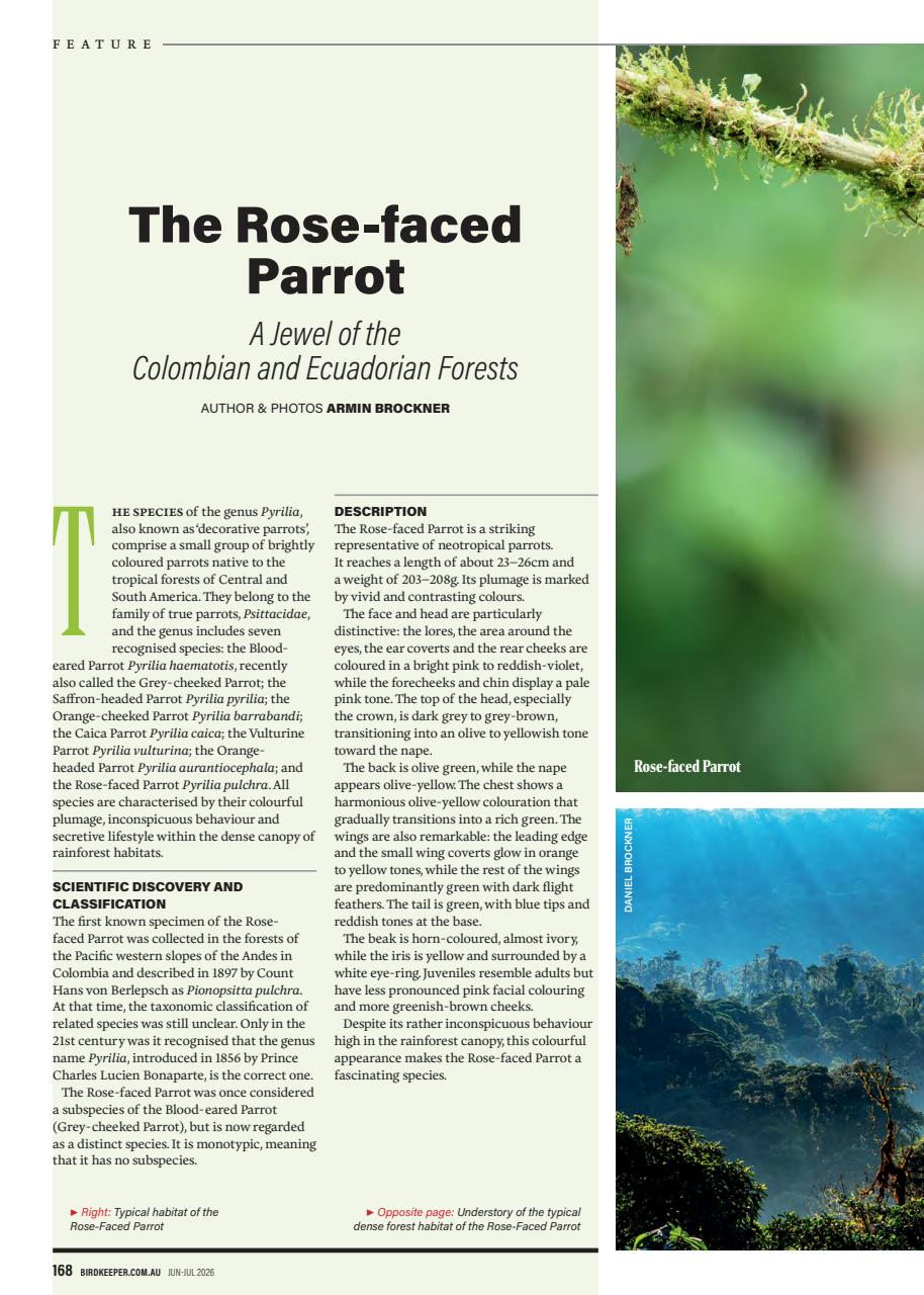 Australian Birdkeeper Magazine Preview Pages