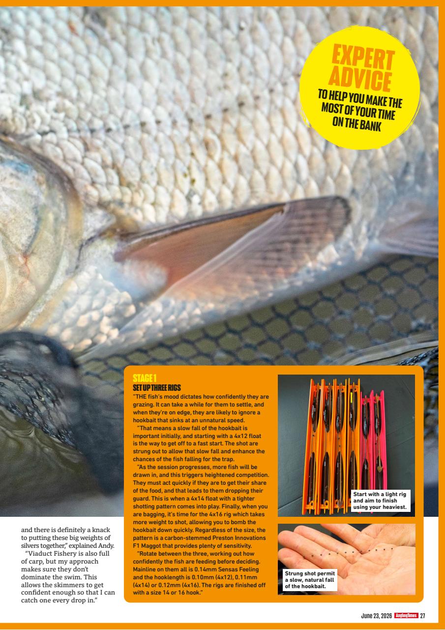 Angling Times Preview Pages