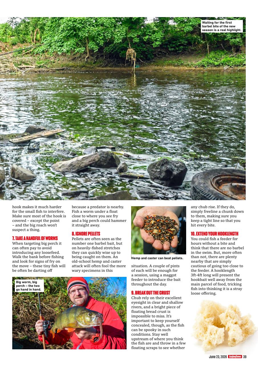 Angling Times Preview Pages