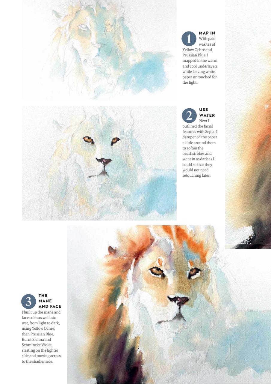 Artists & Illustrators Preview Pages