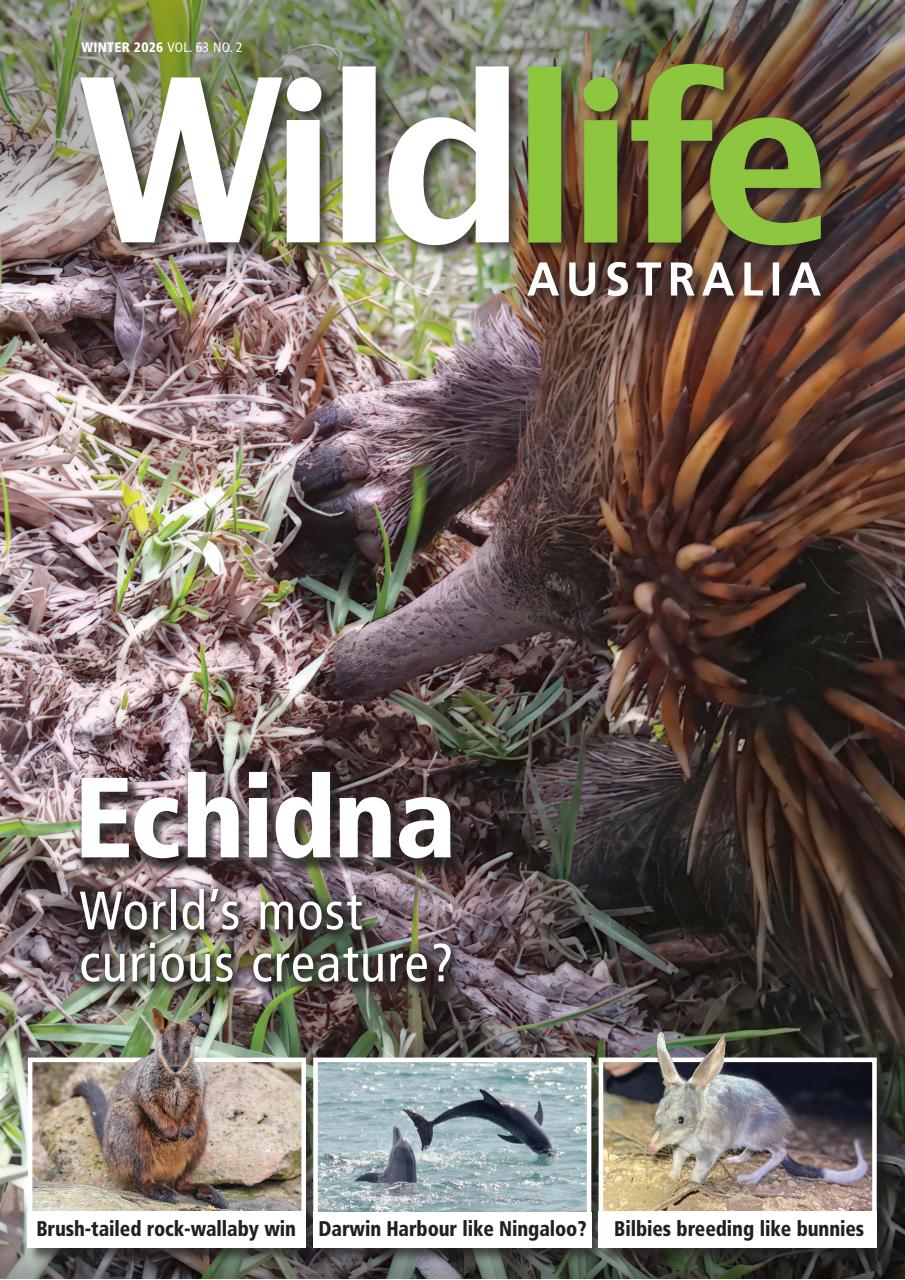 Wildlife Australia Preview Pages