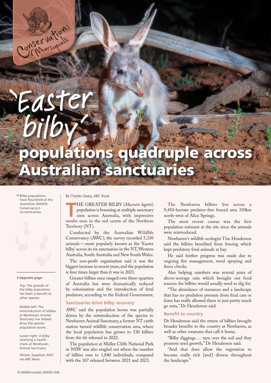 Wildlife Australia Preview Pages