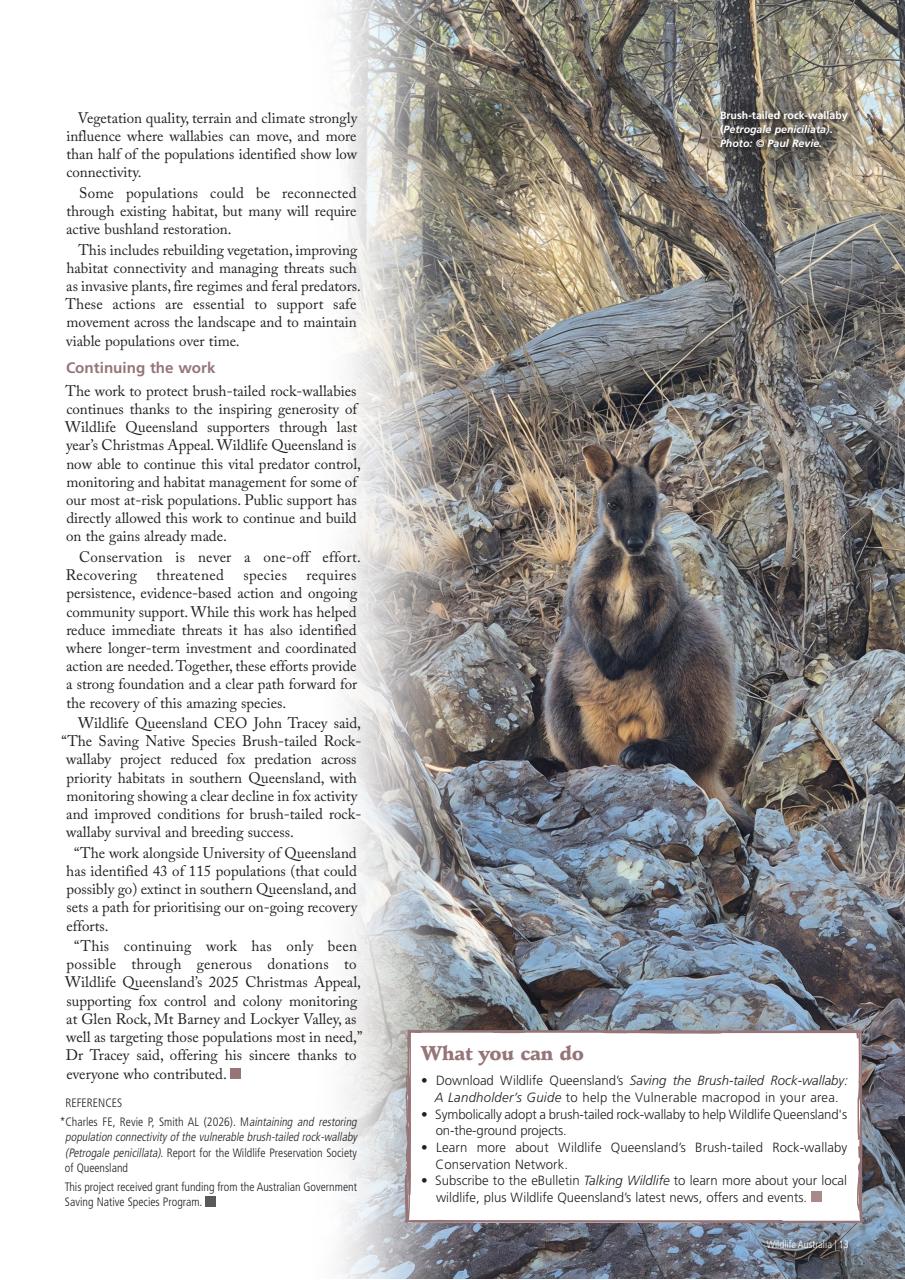 Wildlife Australia Preview Pages
