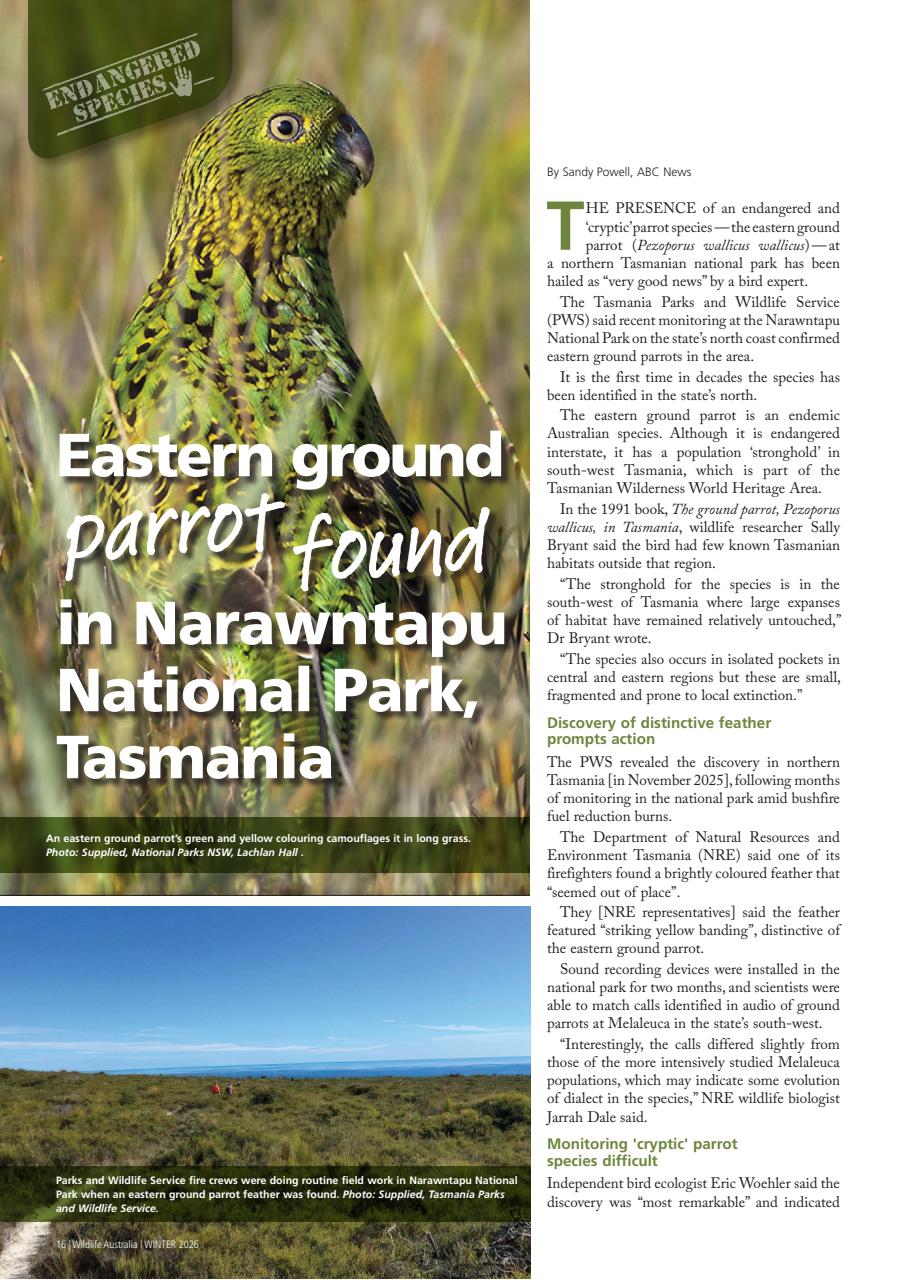 Wildlife Australia Preview Pages