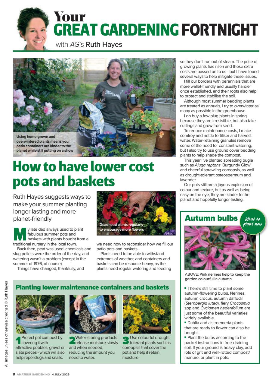 Amateur Gardening Preview Pages