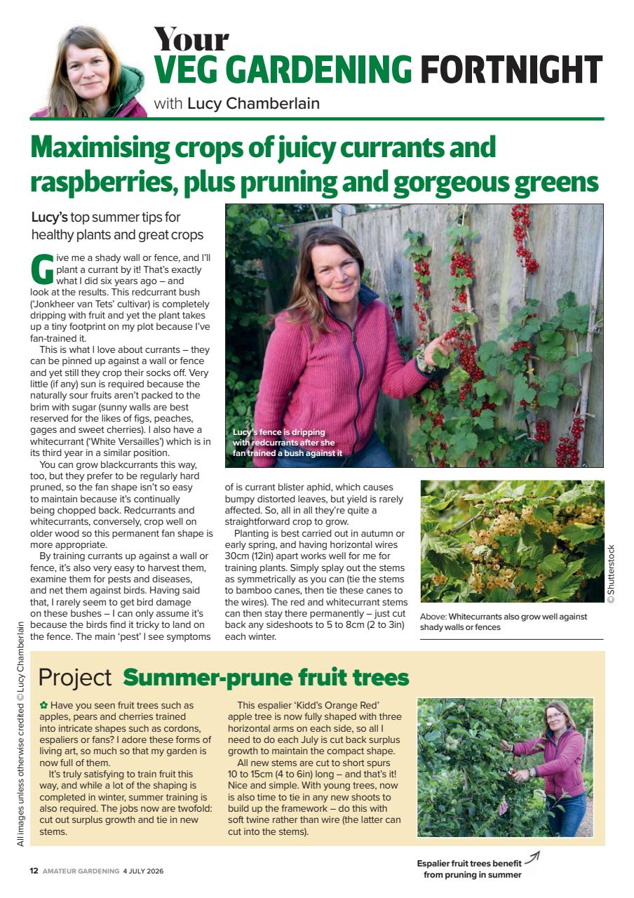Amateur Gardening Preview Pages