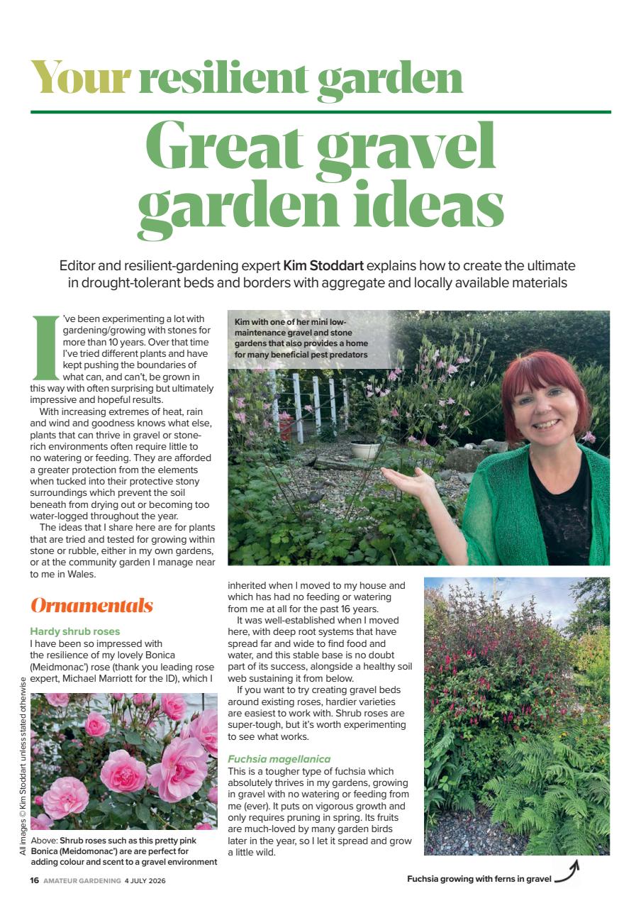 Amateur Gardening Preview Pages