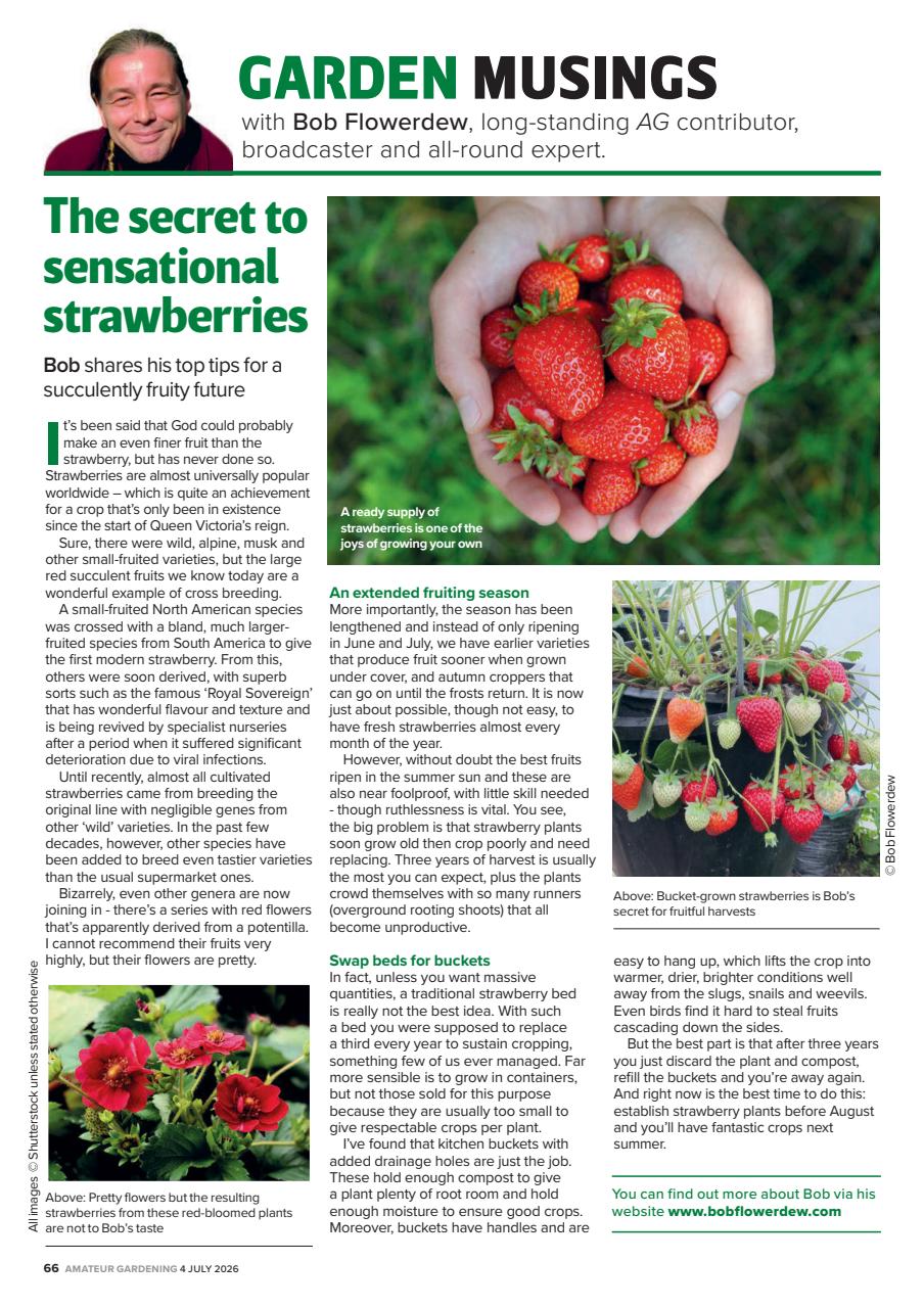 Amateur Gardening Preview Pages