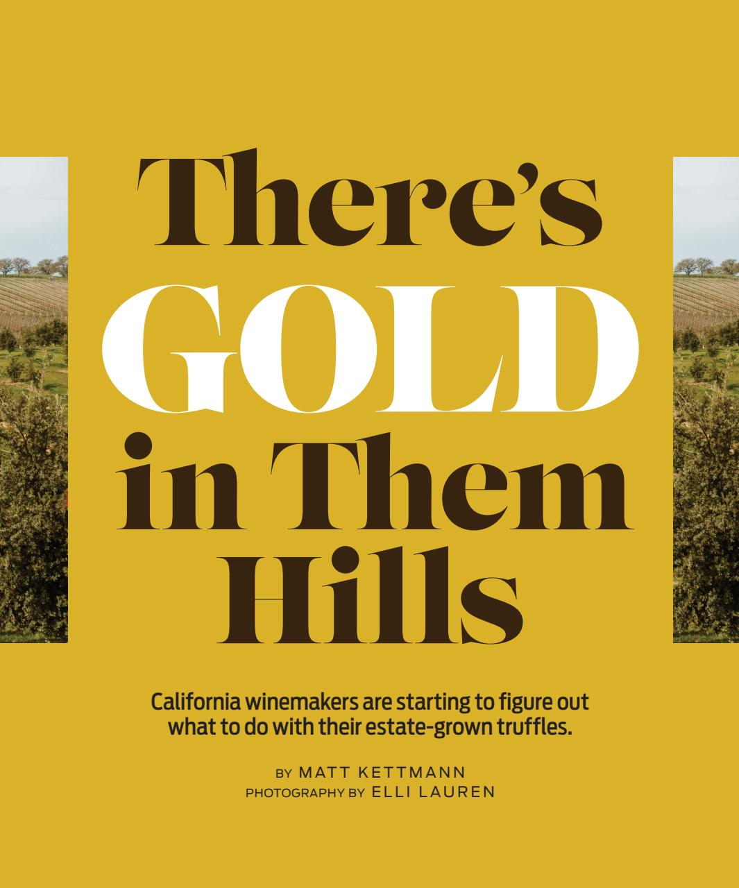 Wine Enthusiast Preview Pages
