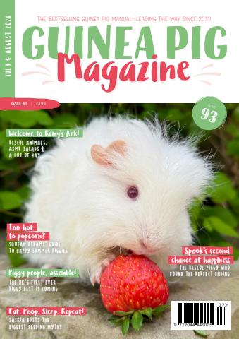 Guinea Pig Magazine issue Issue 93 (July/Aug)