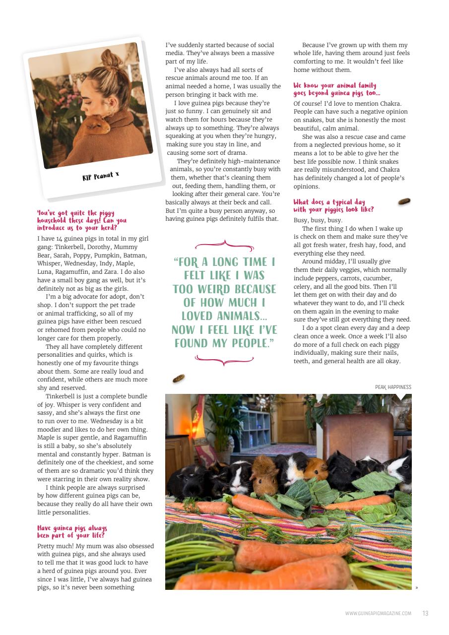 Guinea Pig Magazine Preview Pages