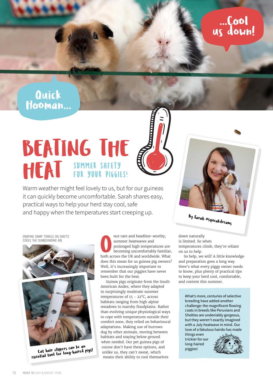 Guinea Pig Magazine Preview Pages