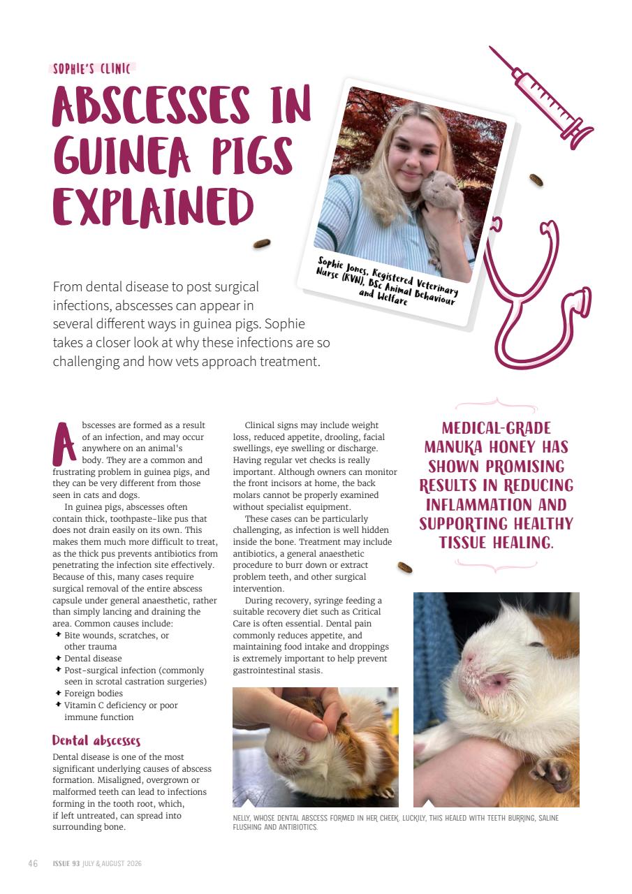 Guinea Pig Magazine Preview Pages