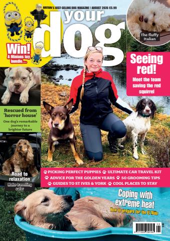 Your Dog issue Your Dog - August 2026