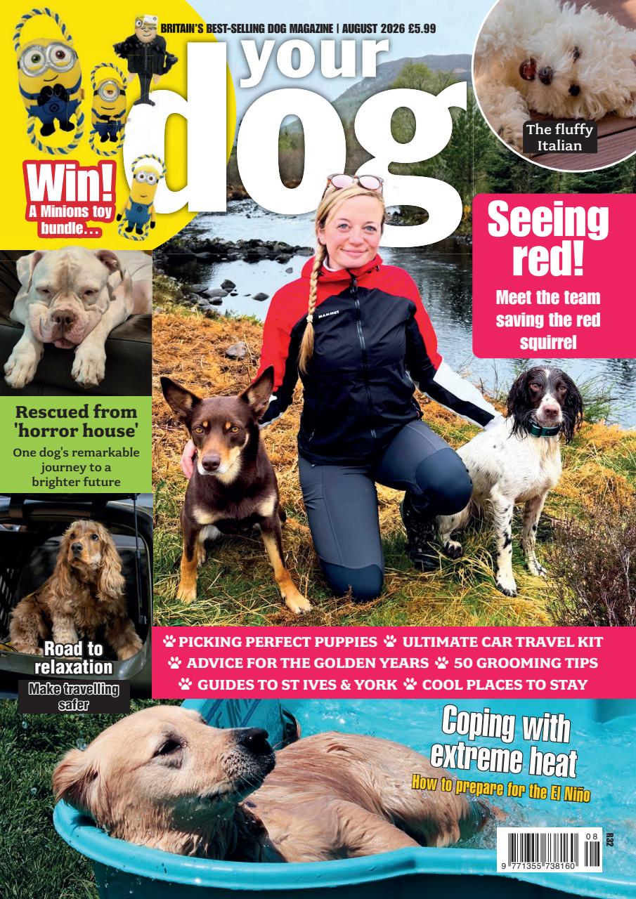 Your Dog Preview Pages