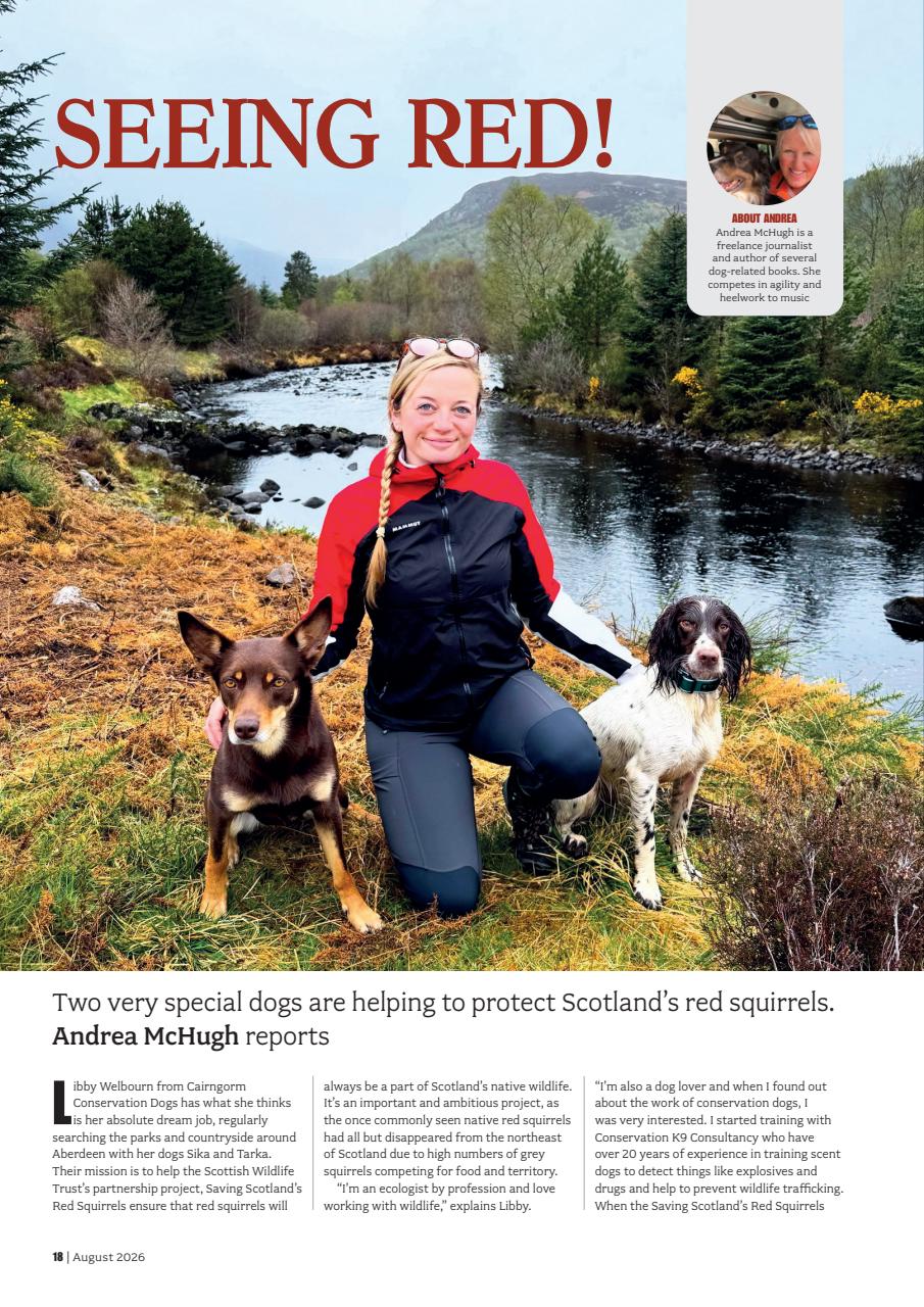 Your Dog Preview Pages