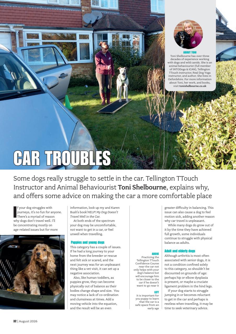 Your Dog Preview Pages