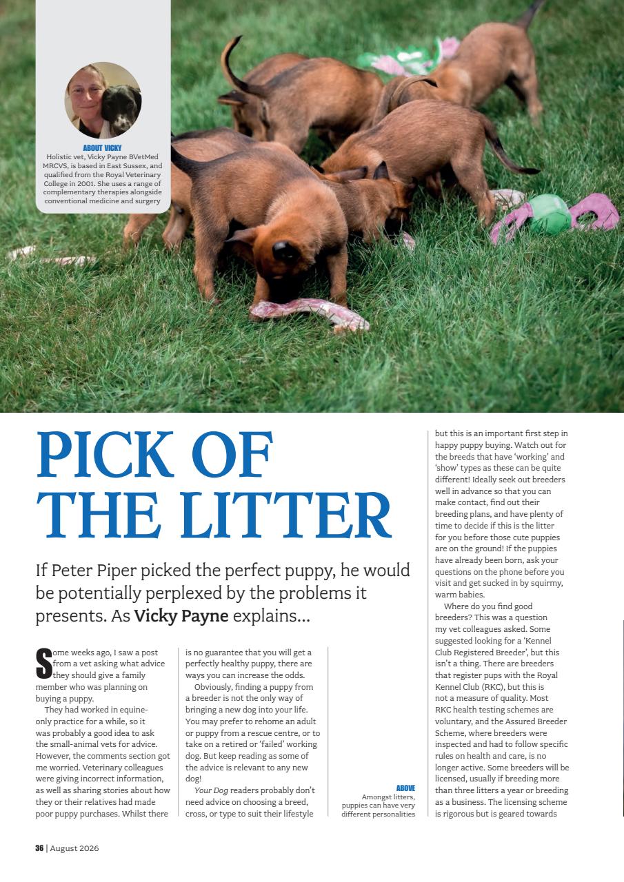 Your Dog Preview Pages