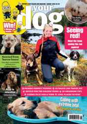 Your Dog Complete Your Collection Cover 1