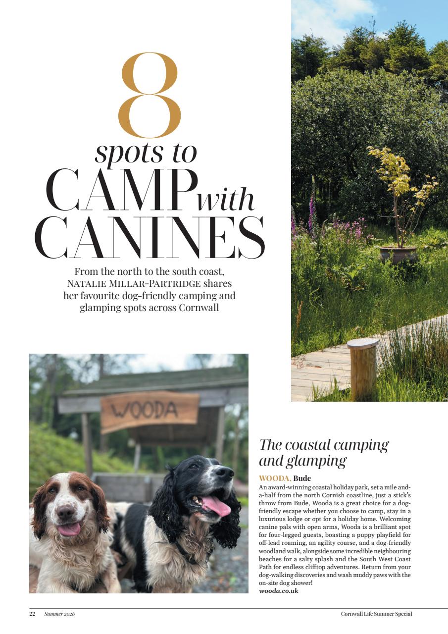 Cornwall Life Preview Pages