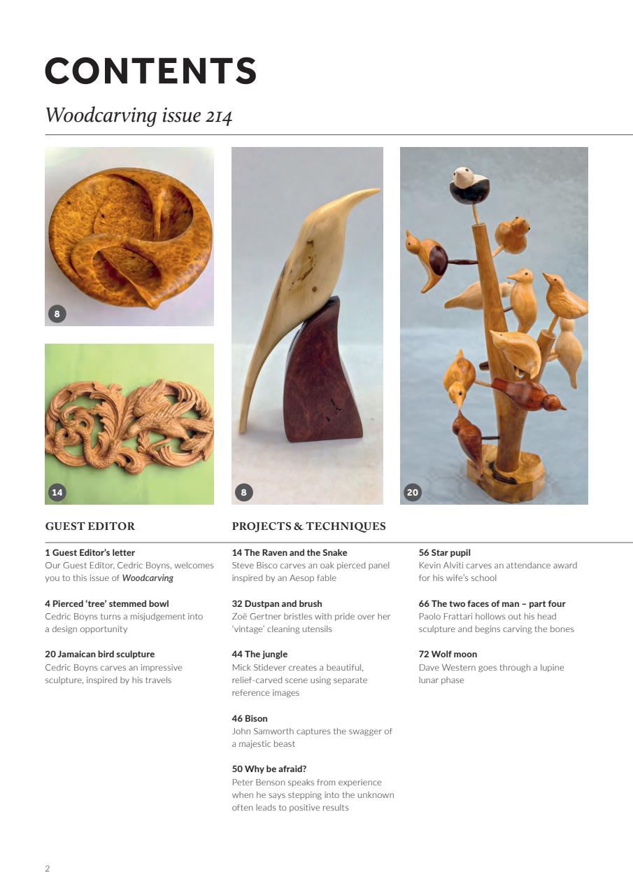 Woodcarving Preview Pages