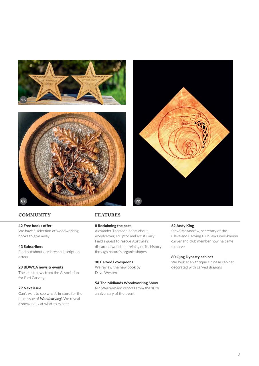 Woodcarving Preview Pages