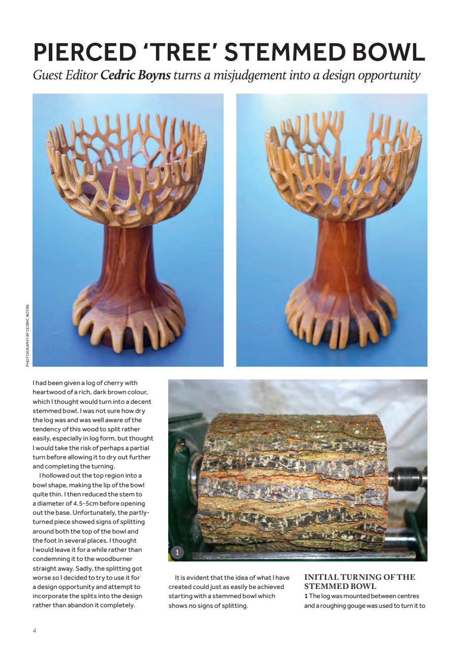 Woodcarving Preview Pages