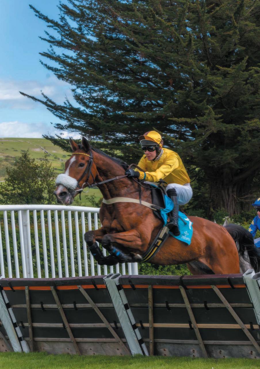 Cumbria Life Preview Pages