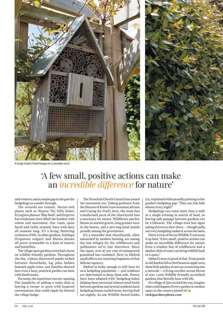 Devon Life Preview Pages