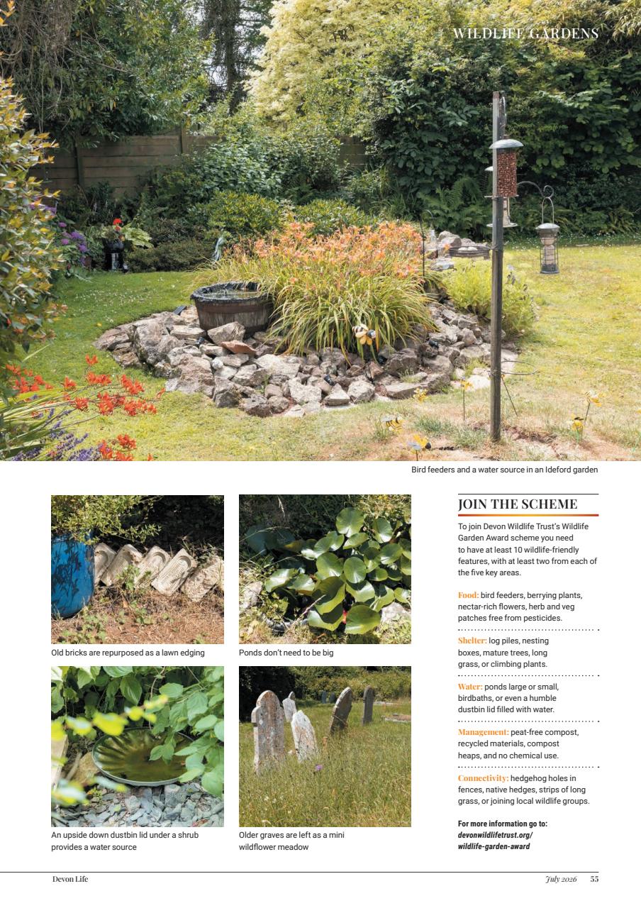 Devon Life Preview Pages