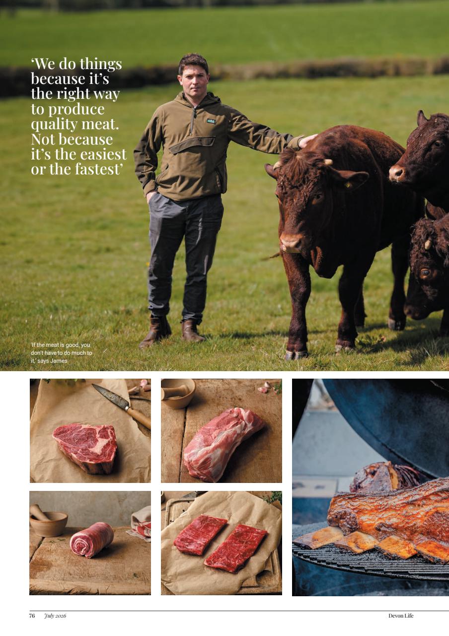 Devon Life Preview Pages