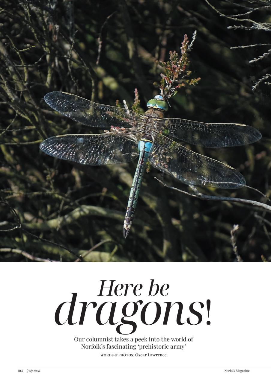 Norfolk Magazine Preview Pages